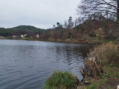 Etang de Baerenthal à Baerenthal