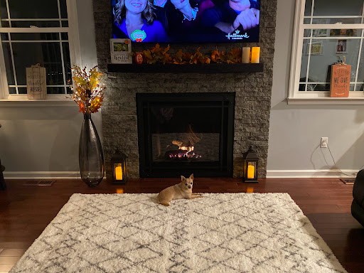 Roofing Contractor «Spicer Bros. Construction», reviews and photos, 34634 Bay Crossing Blvd, Lewes, DE 19958, USA