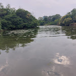 Photo n°2 de l'avis de Antonio.a fait le 06/07/2023 à 05:14 sur le  Bagolaro - Controvento à Venice