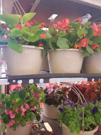 Supermarket «ALDI», reviews and photos, 1284 Boston Rd, Springfield, MA 01119, USA