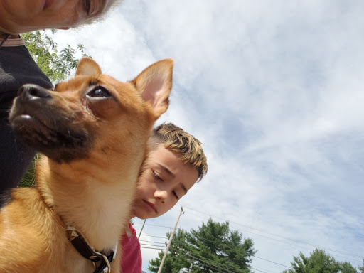 Pet Supply Store «Pet Supplies Plus», reviews and photos, 400 Lowell Ave Suite 14, Haverhill, MA 01832, USA