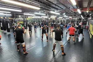 The Jungle MMA and Fitness image