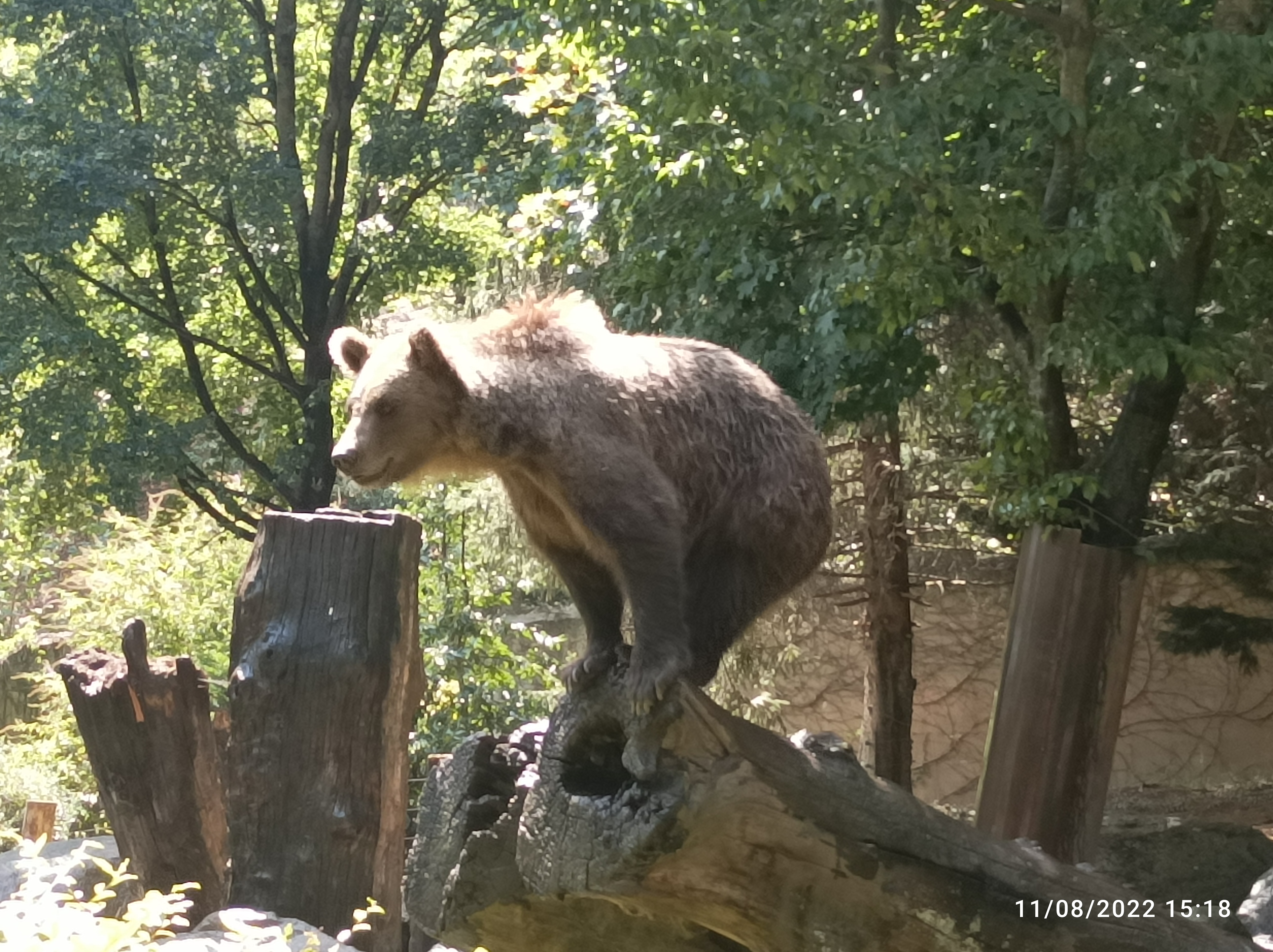 Photo n° 3 de l'avis de aurelie.� fait le 31/08/2019 à 22:43