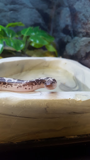 Pet Supply Store «Petco Animal Supplies», reviews and photos, 35860 Chester Rd, Avon, OH 44011, USA