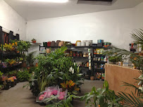 Natty Garden - Photo 8 - Car repair in Brooklyn, NY, New York