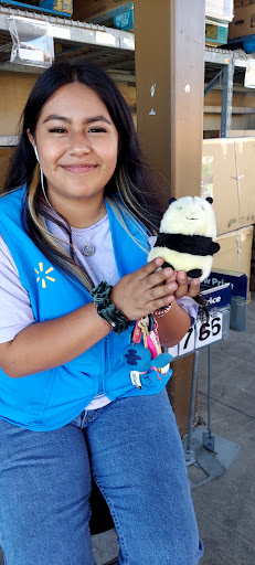 Discount Store «Walmart», reviews and photos, 10075 Bruceville Rd, Elk Grove, CA 95757, USA