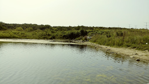 Nature Preserve «Hidden Oaks Conservation Area», reviews and photos, 419 Trout Farm Rd, Bolingbrook, IL 60440, USA