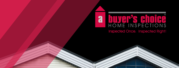 A Buyer's Choice Home Inspections Thunder Bay with Callum Thomson