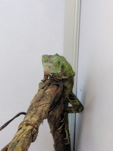 Pet Supply Store «Pet Supermarket, Inc.», reviews and photos, 598 N McCarran Blvd, Sparks, NV 89431, USA