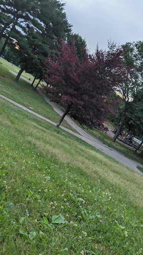 Park «ROGERS PARK», reviews and photos, 30 Rogers Park Ave, Boston, MA 02135, USA