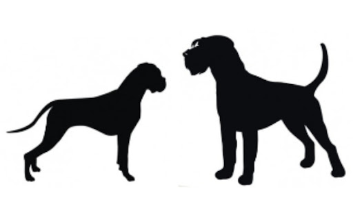 Hundefriseur H(r)und-um fit Oberschwaben unter Herbertingen, 
