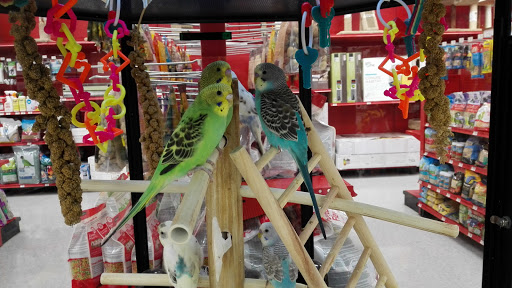 Pet Supply Store «Petco Animal Supplies», reviews and photos, 8111 W Broward Blvd, Plantation, FL 33324, USA