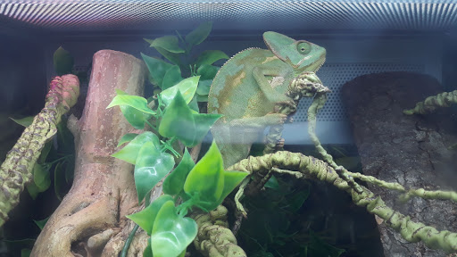 Shopping Mall «Woodlands Square», reviews and photos, 3150 Tampa Rd, Oldsmar, FL 34677, USA