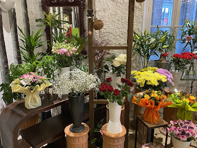 Capucine à Romilly-sur-Seine