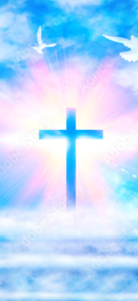 THE PLUMBING GOD - Photo 2 - Car repair in , Albany