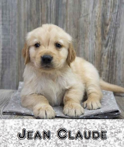 Pet Store «Pet Express», reviews and photos, 250 Granite St, Braintree, MA 02184, USA