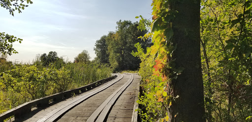 Golf Course «Moose Ridge Golf Course & Grille», reviews and photos, 11801 Doane Rd, South Lyon, MI 48178, USA