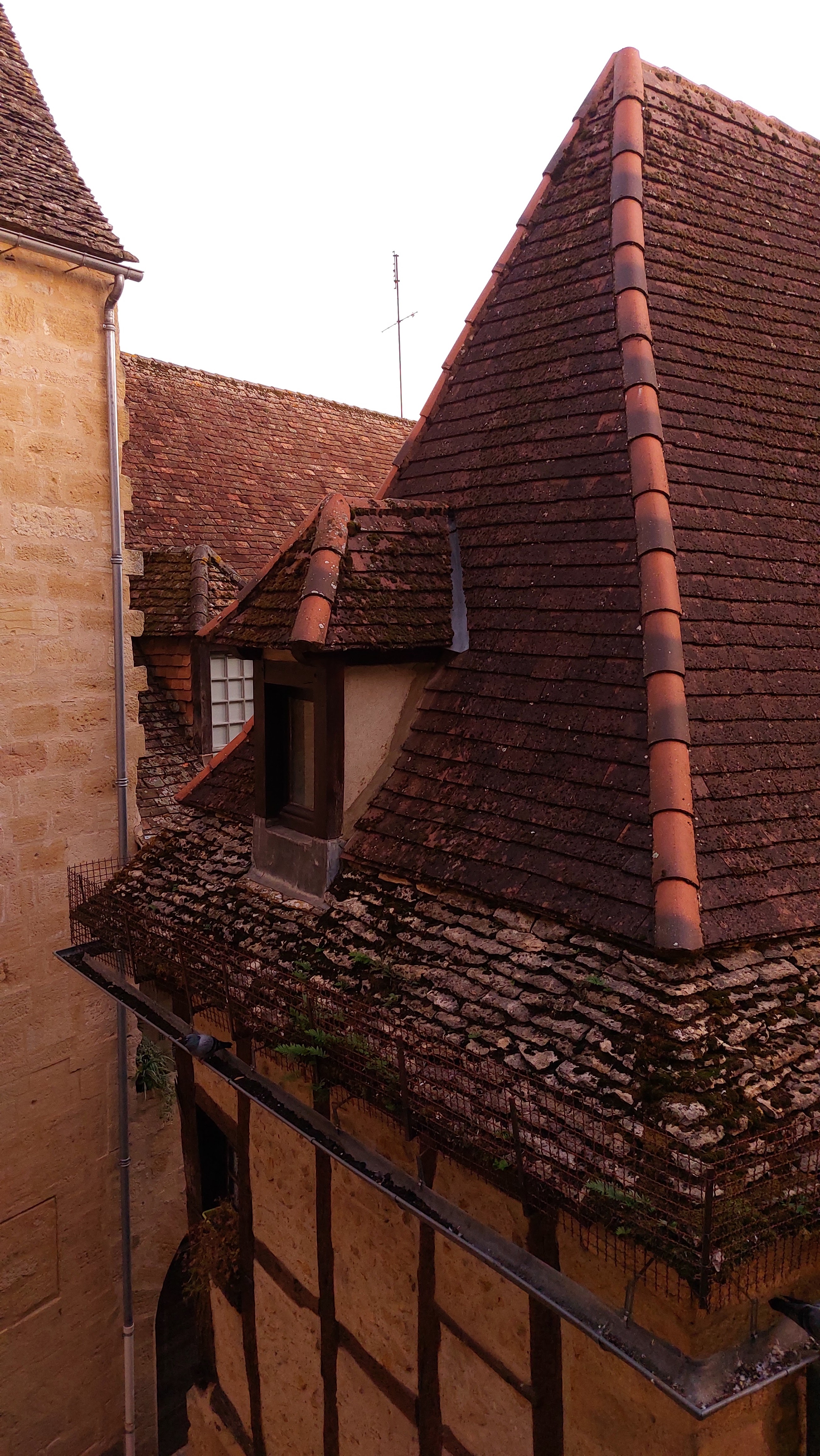 Photo n° 2 de l'avis de Stéphane.u fait le 12/11/2022 à 17:26