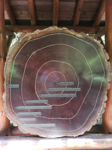 Gift Shop «Muir Woods Trading Company», reviews and photos, 1 Muir Woods Rd, Mill Valley, CA 94941, USA