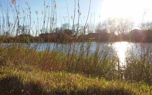 RV Park «Oyster Creek RV Ranch», reviews and photos, 2815 FM 523 Road, Oyster Creek, TX 77541, USA