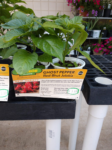 Hardware Store «Ace Hardware South Asheville», reviews and photos, 1888 Hendersonville Rd, Asheville, NC 28803, USA