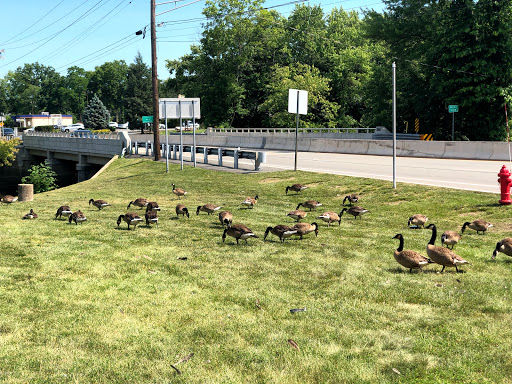 Gym «Planet Fitness», reviews and photos, 418 NJ-10, East Hanover, NJ 07936, USA