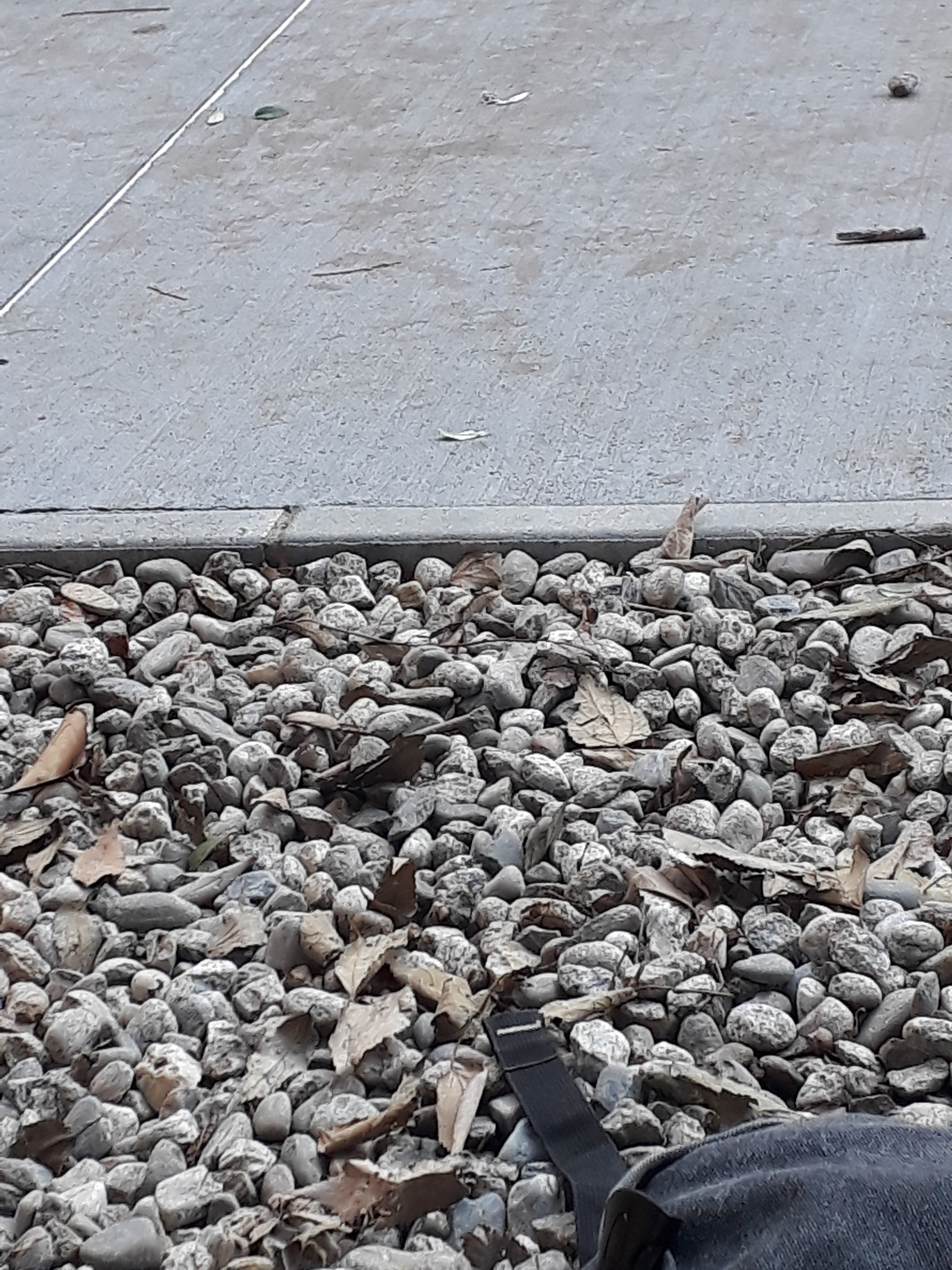 Photo n° 23 de l'avis de William.m fait le 11/12/2018 à 12:09