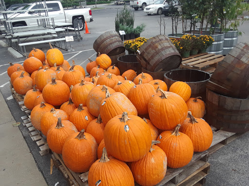 Home Improvement Store «Tractor Supply Co.», reviews and photos, 911 Center Point Rd, Hendersonville, TN 37075, USA