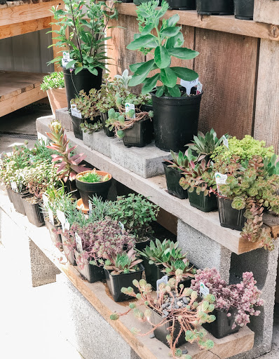 Hardware Store «Economy Supply of Lebanon», reviews and photos, 1055 Tangent St, Lebanon, OR 97355, USA