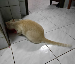 ครัวเจ๊พร photo