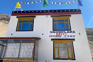Snowflake Spiti image