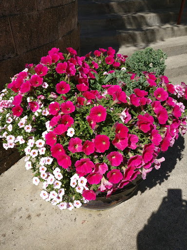 Art Museum «Portland Art Museum», reviews and photos, 1219 SW Park Ave, Portland, OR 97205, USA