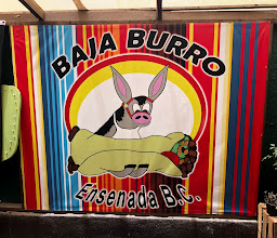 Baja Burro photo