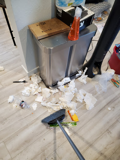 House Cleaning Service «MOLLY MAID of S. Silicon Valley», reviews and photos, 1275 S Winchester Blvd E, San Jose, CA 95128, USA