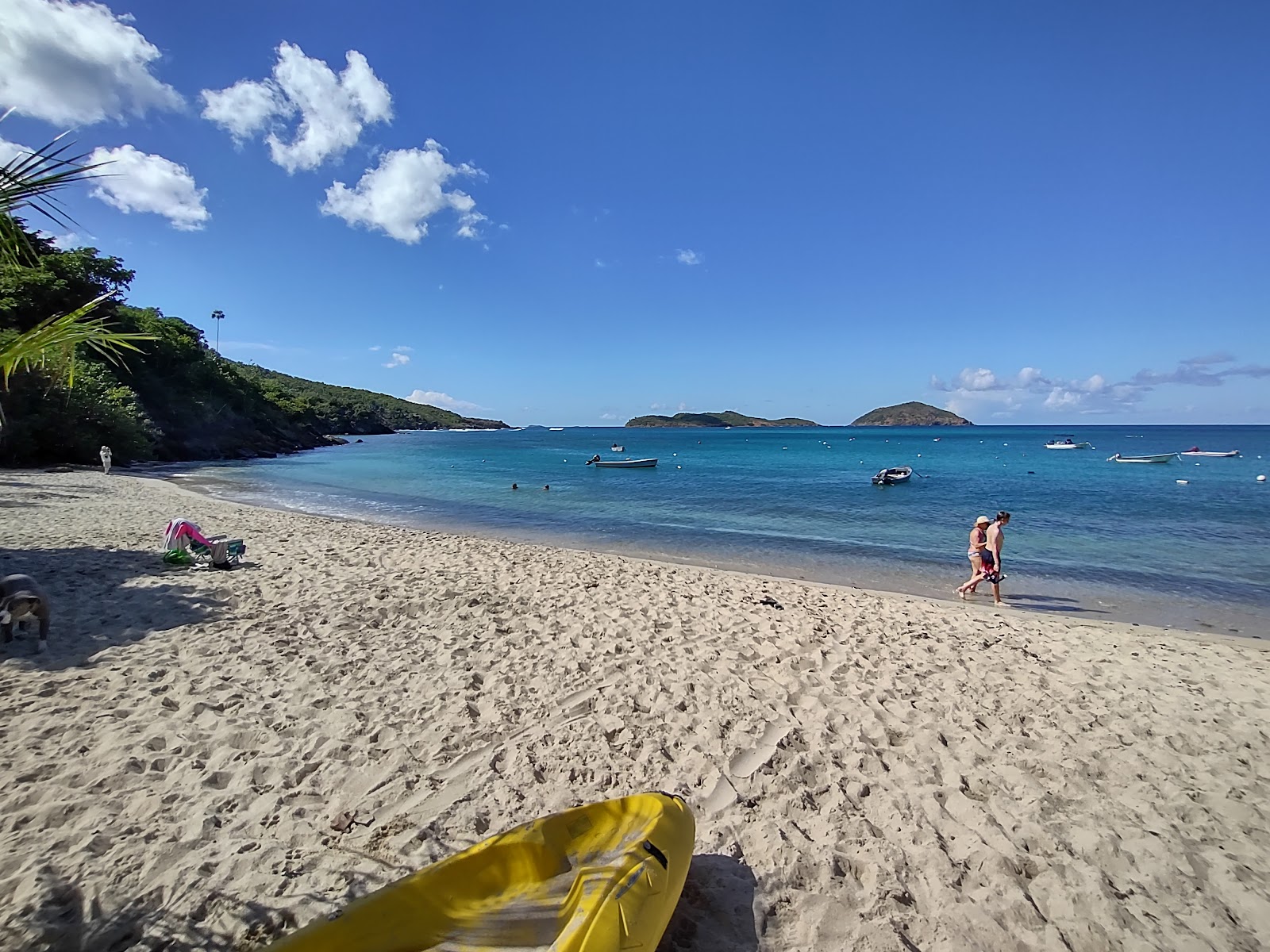 Fotografija Hull Bay beach in naselje