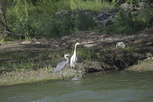 Nature Preserve «LLELA Nature Preserve», reviews and photos, 201 E Jones St, Lewisville, TX 75057, USA