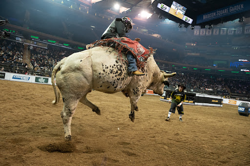 Arena «Madison Square Garden», reviews and photos, 4 Pennsylvania Plaza, New York, NY 10001, USA