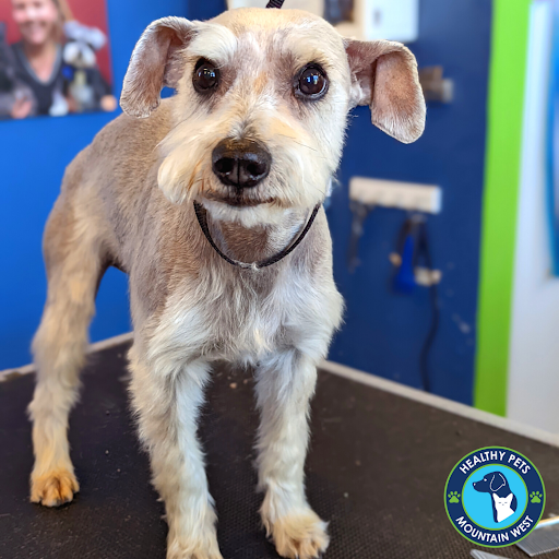 Pet Store «Healthy Pets Mountain West», reviews and photos, 2352 Fort Union Blvd, Cottonwood Heights, UT 84121, USA