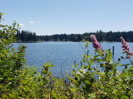 Park «Wildcat Lake County Park», reviews and photos, 9205 NW Holly Rd, Bremerton, WA 98312, USA