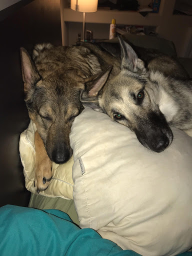 Park «Centennial Hills Park», reviews and photos, 7101 N Buffalo Dr, Las Vegas, NV 89131, USA