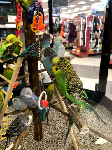 Pet Supply Store «Petco Animal Supplies», reviews and photos, 1815 Newport Blvd b, Costa Mesa, CA 92627, USA