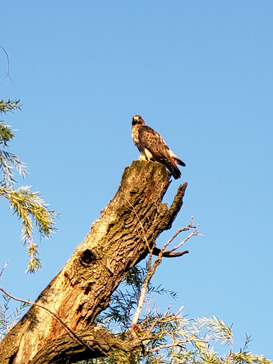 Park «Indian Boundary Park», reviews and photos, 2500 W Lunt Ave, Chicago, IL 60645, USA