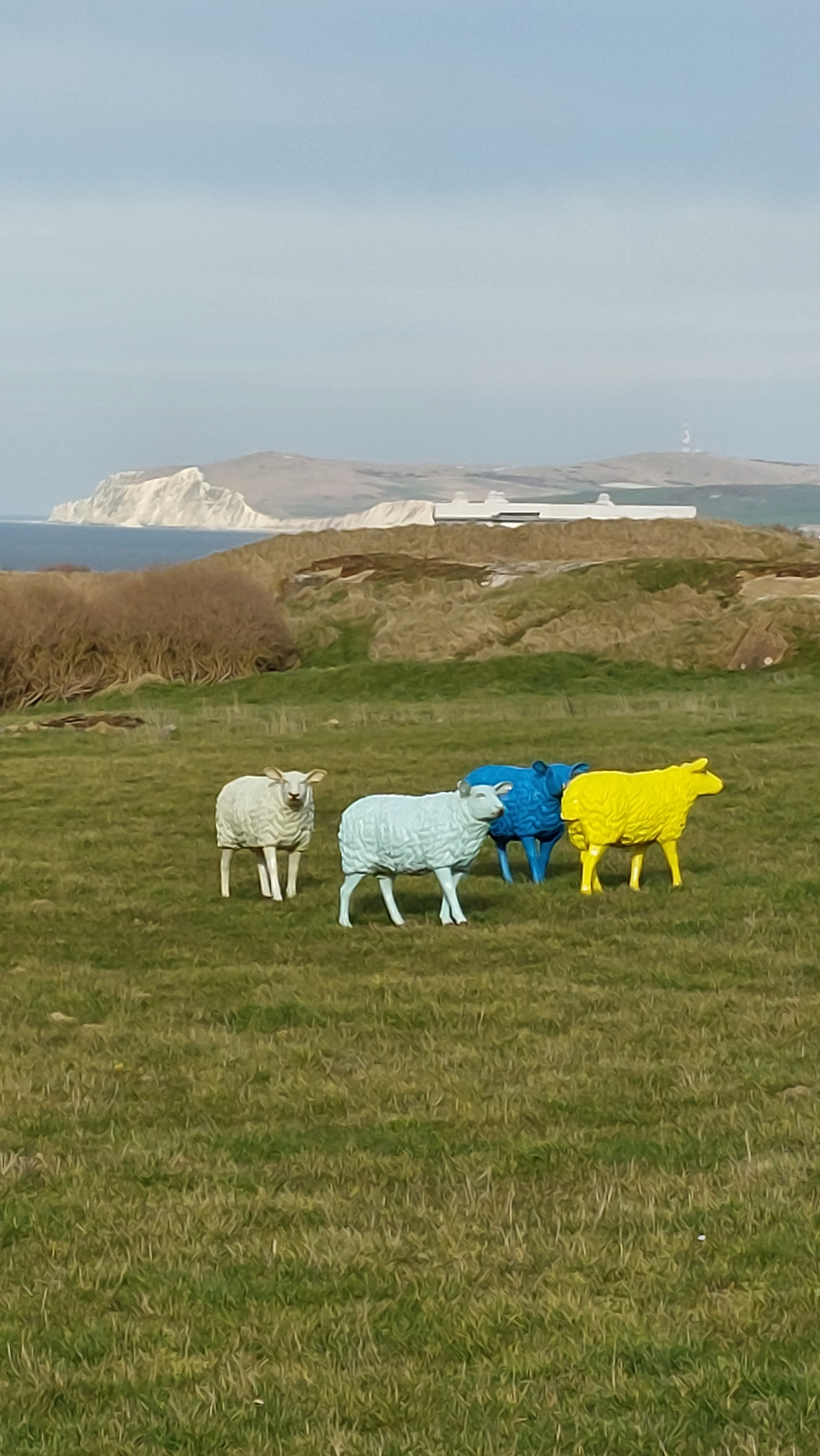 Photo n° 1 de l'avis de Francois.R fait le 21/03/2023 à 16:54