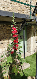Photo n°49 de Camping Clicochic - Château de Boisson à Allègre-les-Fumades ()