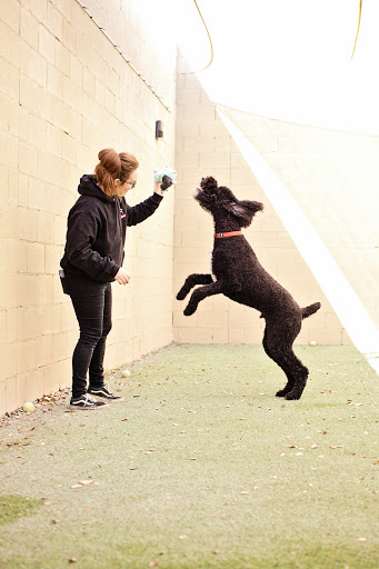 Pet Store «Market Street PET DEPOT», reviews and photos, 2979 S Market St, Gilbert, AZ 85295, USA