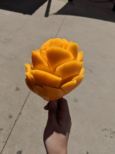 Water Park «Hawaiian Falls Mansfield», reviews and photos, 490 Heritage Pkwy S, Mansfield, TX 76063, USA