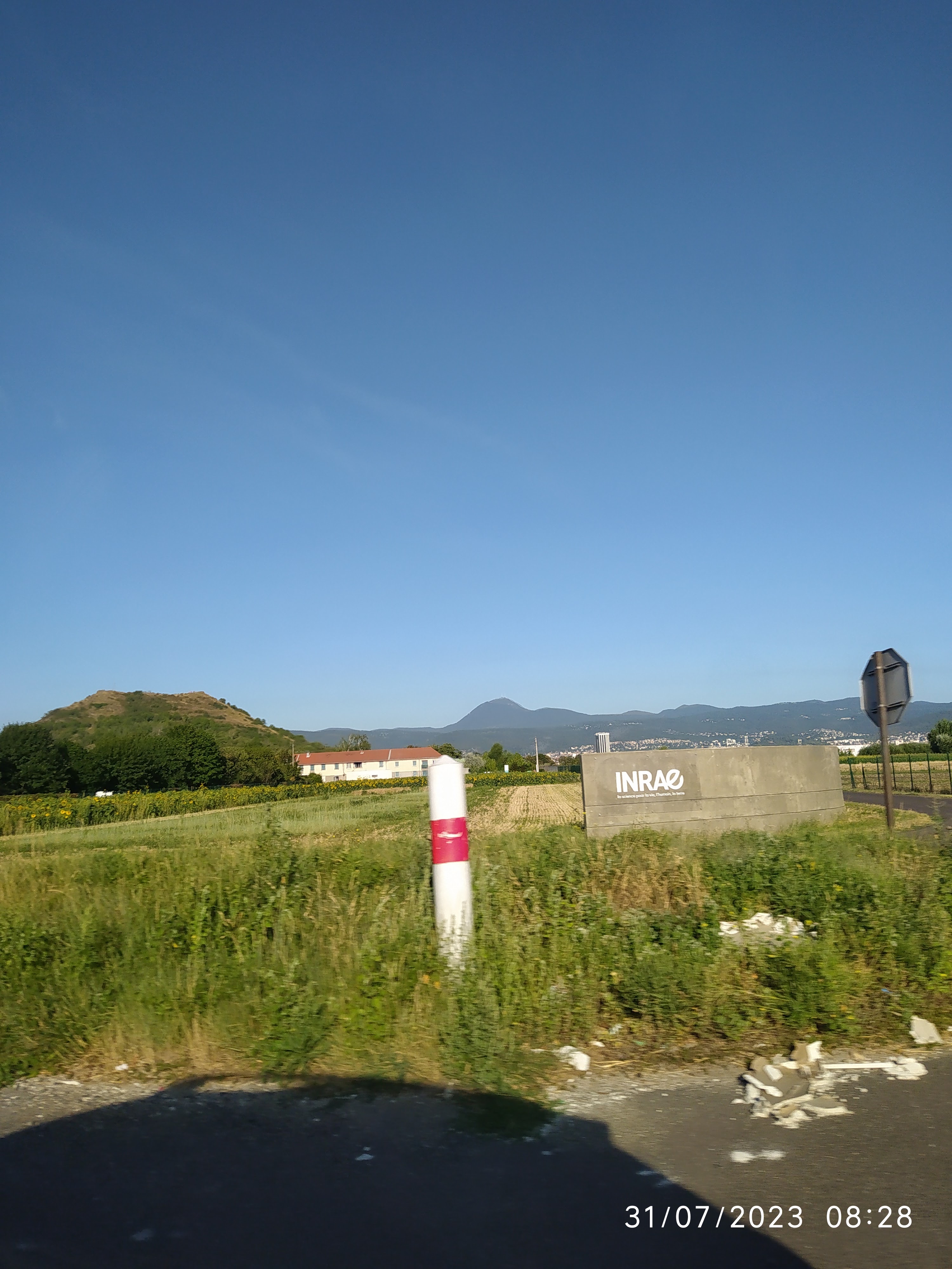 Photo n° 1 de l'avis de edixon.e fait le 31/07/2023 à 17:42