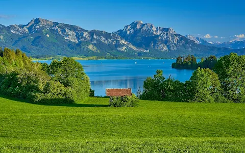 Forggensee image