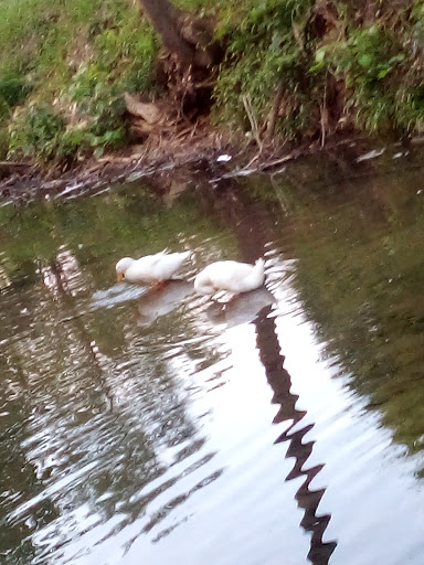 Art Museum «Richmond Art Museum», reviews and photos, 350 Hub Etchison Pkwy, Richmond, IN 47374, USA