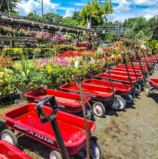 Garden Center «Nalls Produce», reviews and photos, 7310 Beulah St, Alexandria, VA 22315, USA